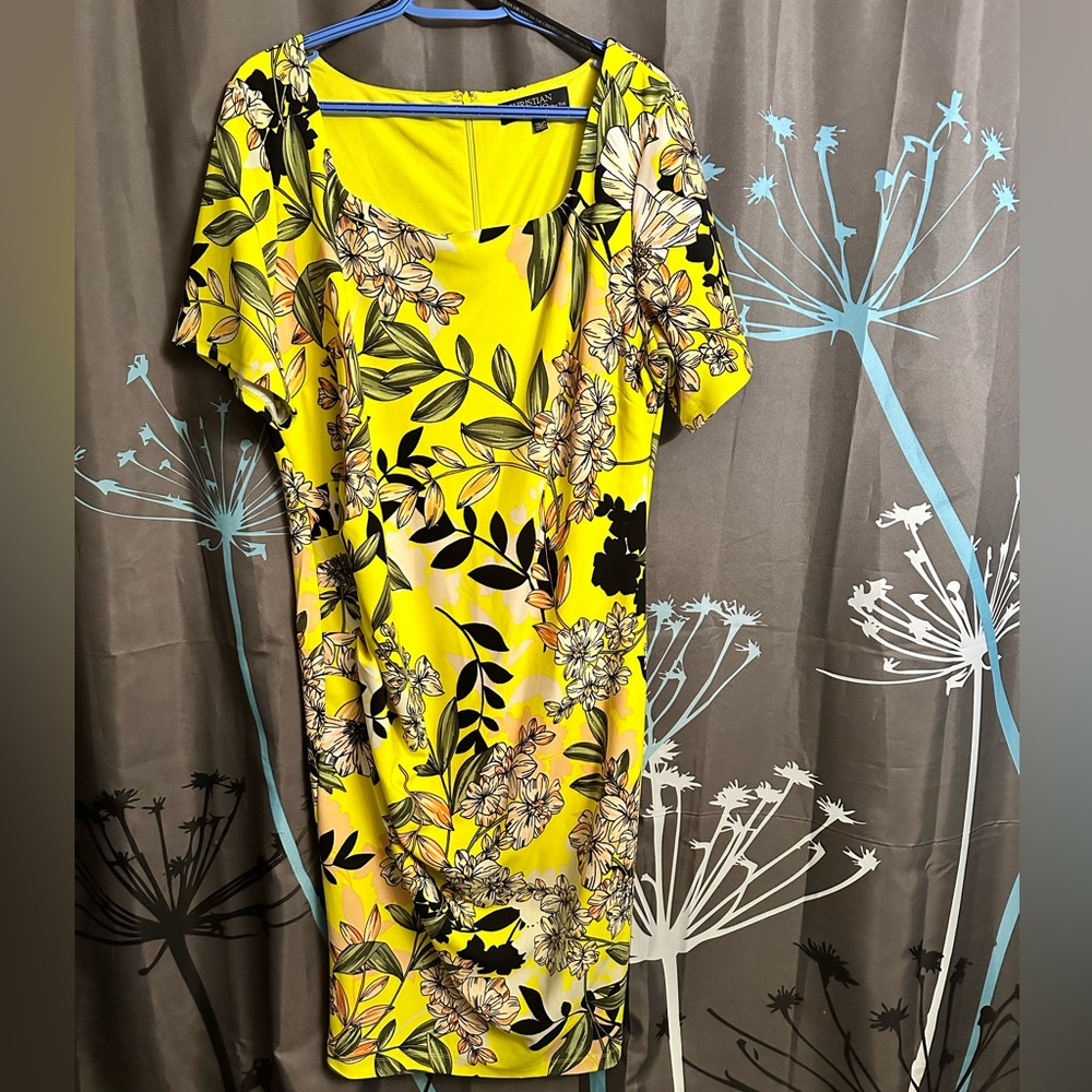 Beautiful Christian Siriano Dress